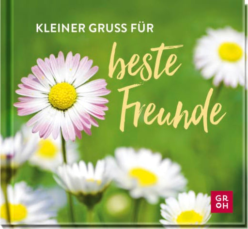 Kleiner Gruß für beste Freunde - Geschenkbuch - 48 Seiten